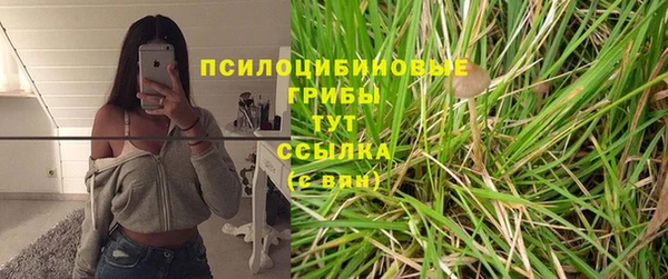 тгк Медвежьегорск