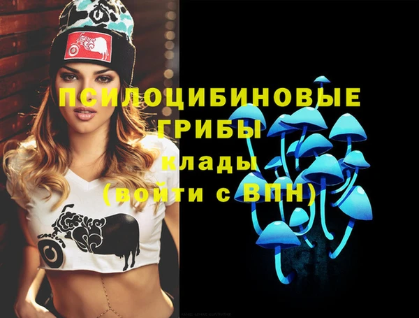 дурь Мегион