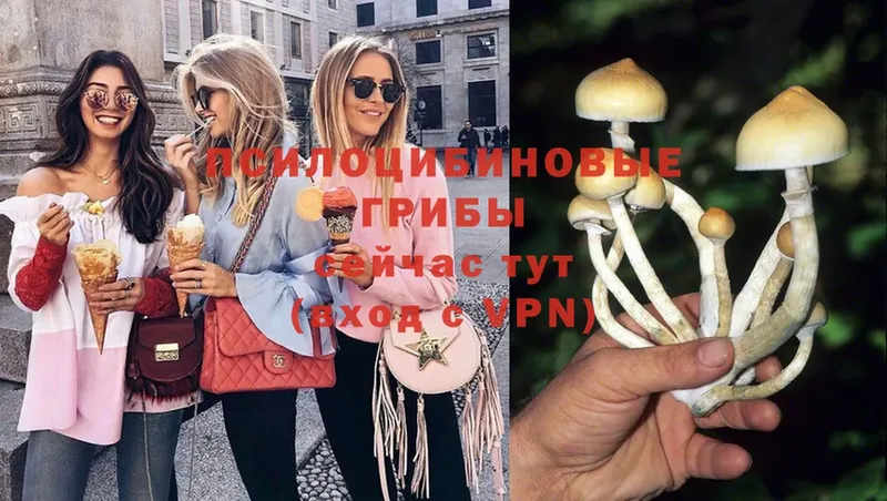 Галлюциногенные грибы MAGIC MUSHROOMS  Кашин 