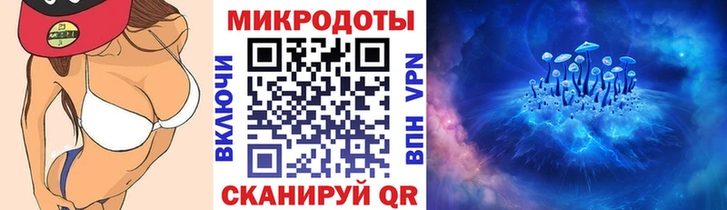 Псилоцибиновые грибы Psilocybe  как найти   Кашин 